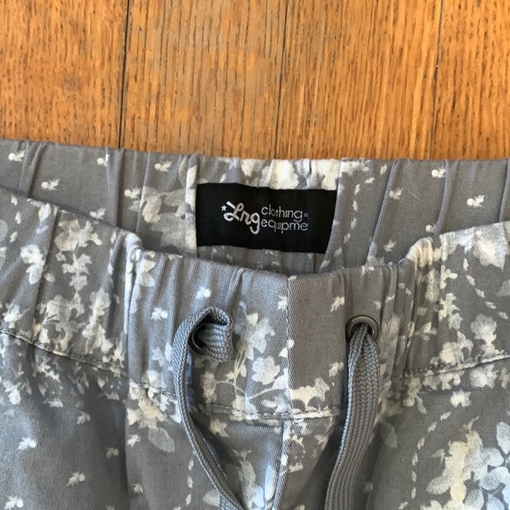 Lrg  clothing and equipment pant